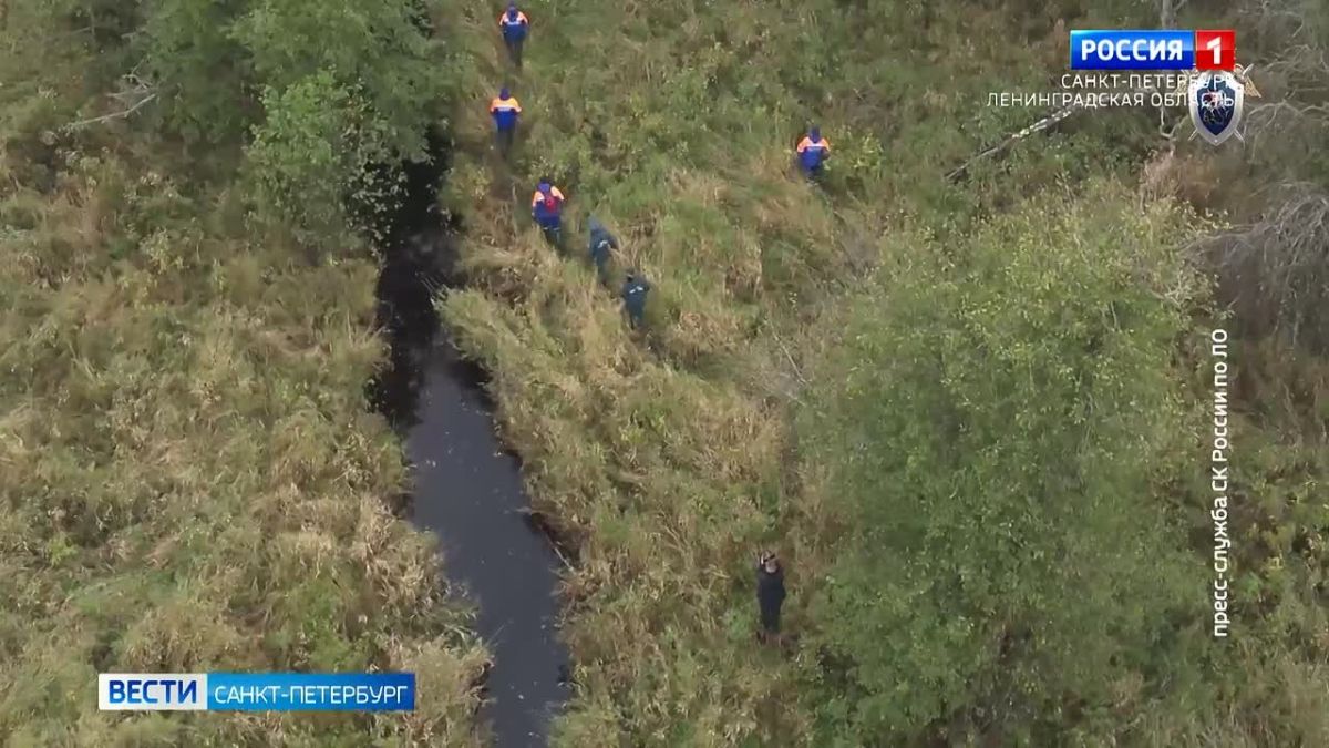 В Ленинградской области прошли учения по поиску пропавших детей