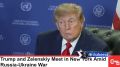 ‘Путин хочет, чтобы война закончилась’ – Трамп забил на чувства сидящего рядом Зеленского и говорит всё, как есть