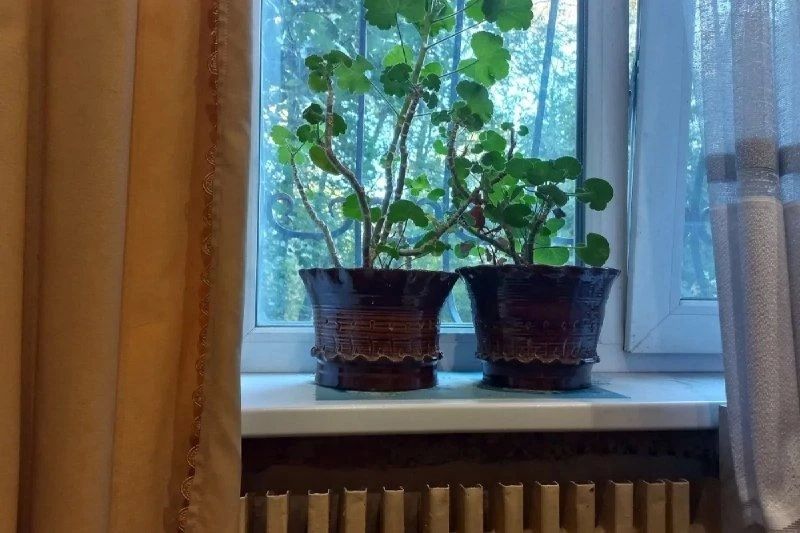 Стало известно, при какой температуре в Ленобласти включат отопление