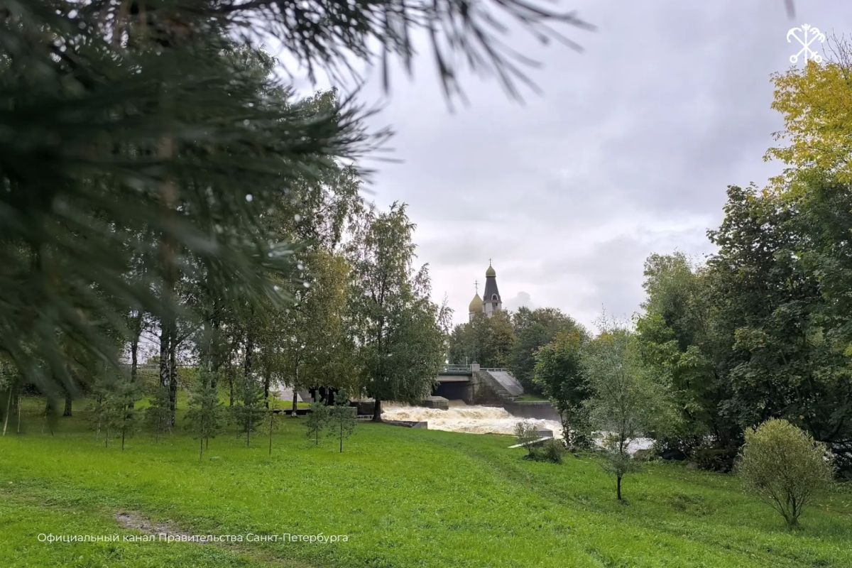 В Сестрорецке появится сквер имени народной артистки СССР Людмилы Чурсиной