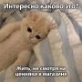 ���-������� �� 22 �������� (� ����� � �� ��������� ��� ����, ��� ������ ��������): ���� ������� �� ������������ ���? ������ �� ����