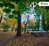 Главный синоптик Петербурга рассказал, когда ждать бабье лето
