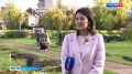 В Петербурге появилась первая в стране "Аллея доноров костного мозга"