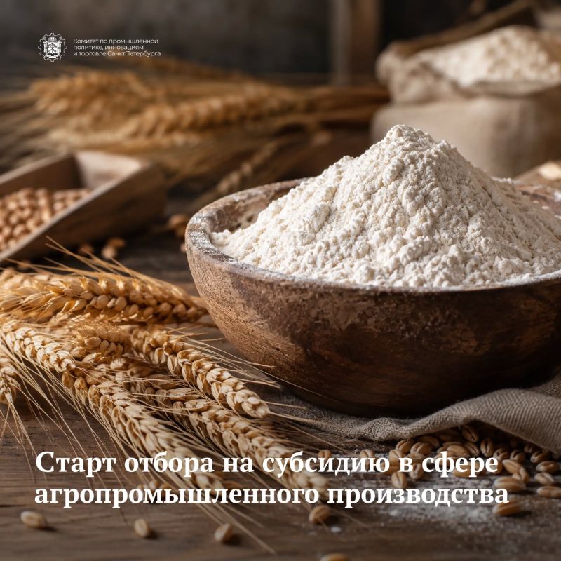 23 сентября стартовал отбор на субсидию в целях возмещения части затрат на уплату процентов по краткосрочным и инвестиционным кредитам в связи с производством (реализацией) товаров, выполнением работ, оказанием услуг в сфере...