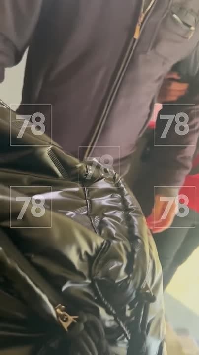 «Он агрессивный, его увезли»: зооволонтёр получила сотрясение мозга за то, что пыталась отловить котов