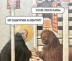 Сдал квартиру мигранту. Всё. Выселить невозможно