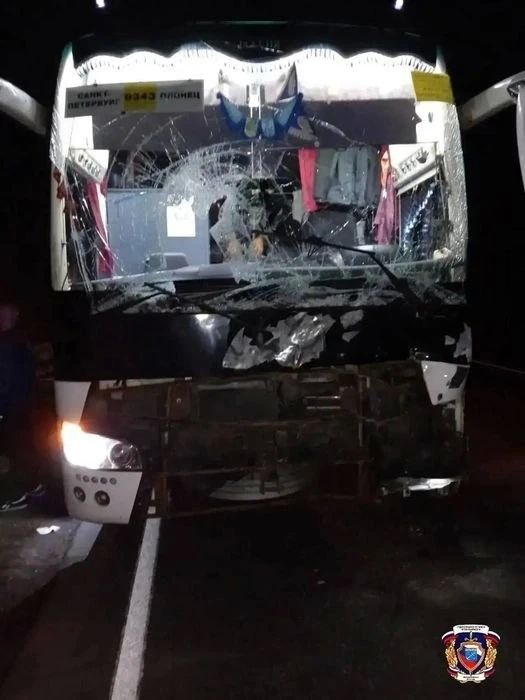 Автобус с пассажирами сбил лося в Лодейнопольском районе Ленобласти Автобус с пассажирами сбил лося в Лодейнопольском районе Ленобласти
