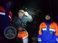 Медведь загнал двух человек в глубину леса в Ленобласти