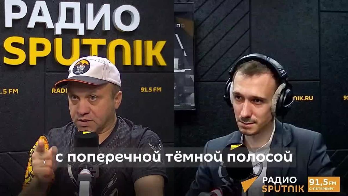 Укус желтосумного паука способен отправить в больницу, заявил Павел Глазков