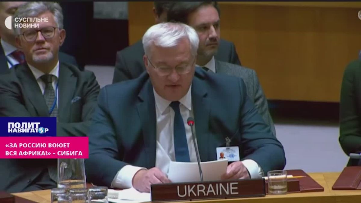 «За Россию на Украине воюет вся Африка!» – Сибига