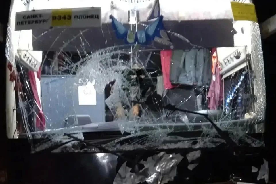 Автобус «Петербург – Олонец» сбил лося в Ленобласти: никто не пострадал