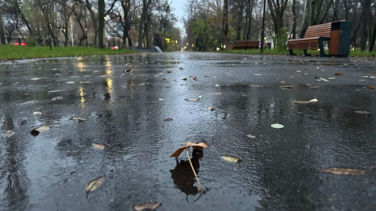 Михаил Онуфриенко: На выходных будет похолодание и дожди