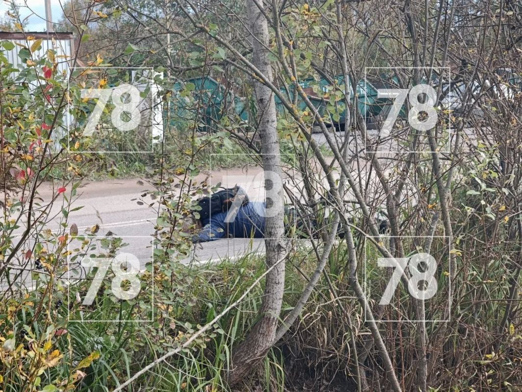 Во Всеволожском районе КамАЗ насмерть сбил пешехода
