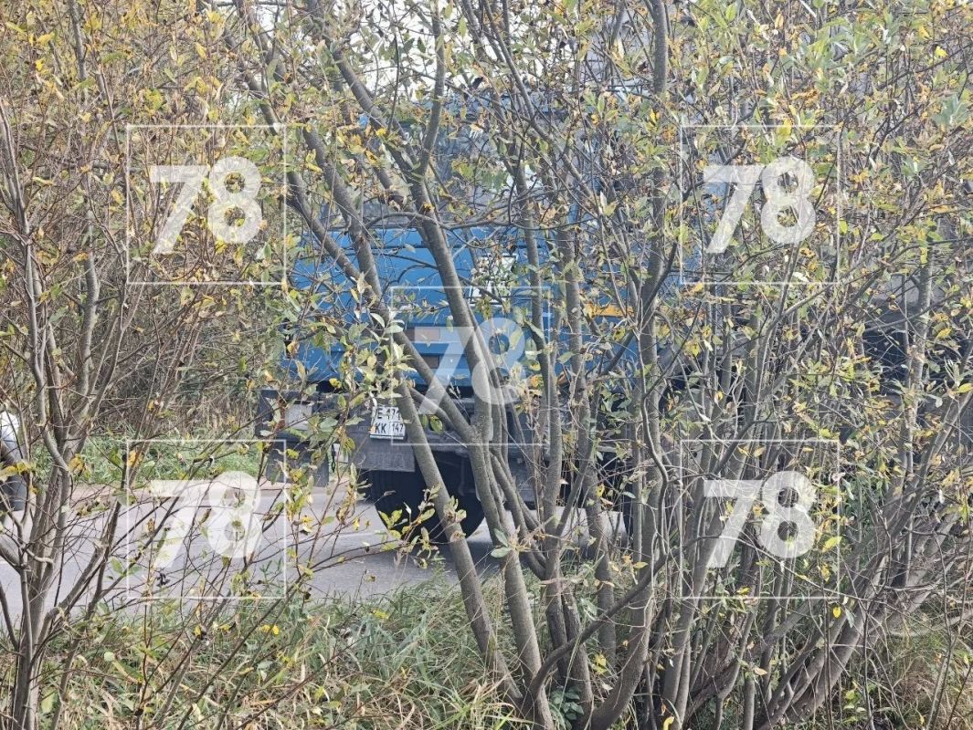 Во Всеволожском районе КамАЗ насмерть сбил пешехода Во Всеволожском районе КамАЗ насмерть сбил пешехода