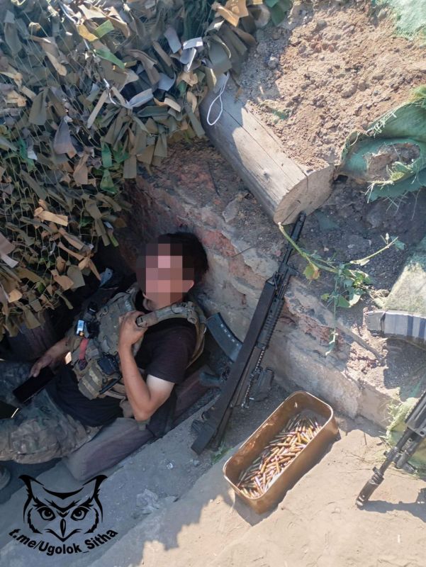 Z - в зоне проведения Специальной Военной Операции Z - в зоне проведения Специальной Военной Операции
