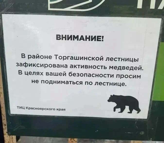 Мишки вышли погулять: Самую длинную в России лестницу закрыли для туристов