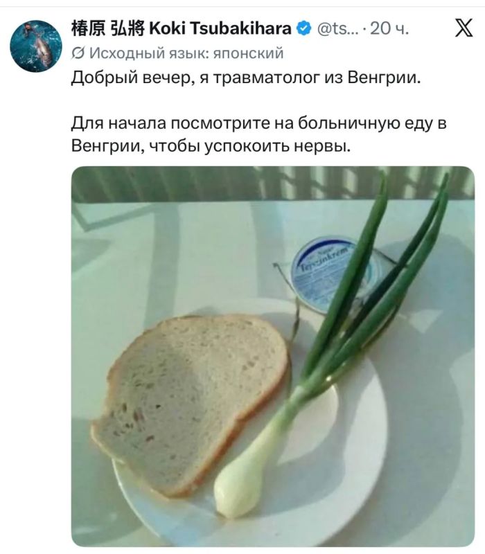 В больницах Европы прекращают не только лечить, но и кормить