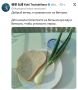 В больницах Европы прекращают не только лечить, но и кормить