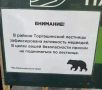 Мишки вышли погулять: Самую длинную в России лестницу закрыли для туристов