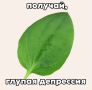 Пациентов с депрессией будут лечить по-новому