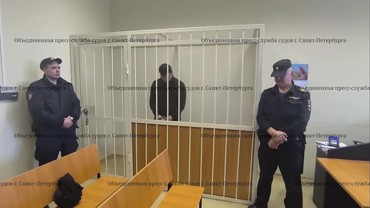 Петербуржца, ударившего битой женщину по голове, отправили в СИЗО