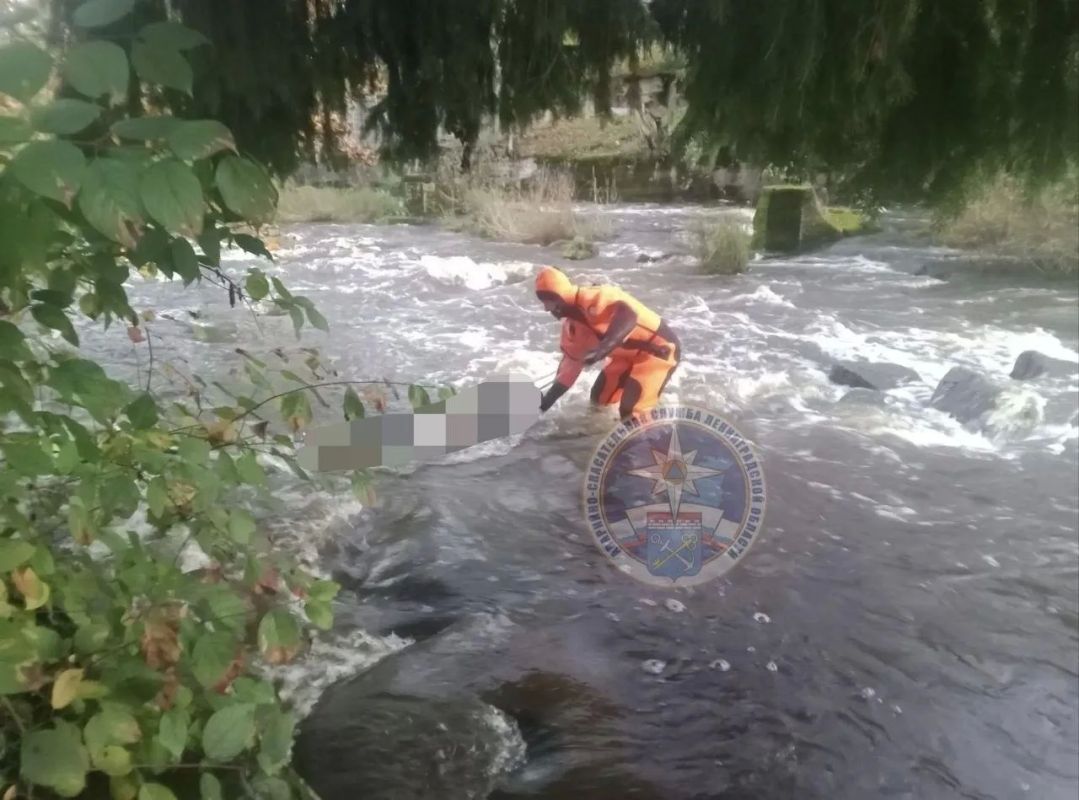 Тело неизвестного выловили из реки Селезнёвка в Ленобласти