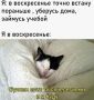 Мем-прогноз на 27 сентября: Чего ожидать от сегодняшнего дня? Смотри на фото