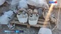 Завершено расследование массового отравления метанолом в Ленобласти