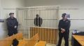 Напавший на петербурженку с битой отправлен в СИЗО на два месяца