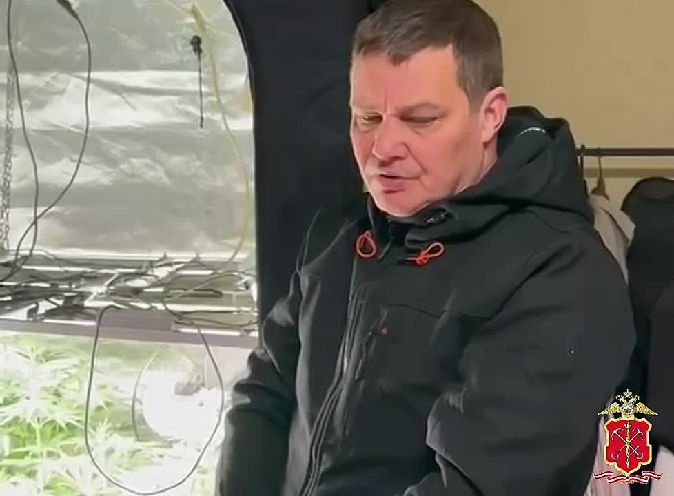Полицейские пресекли бизнес квартирного наркоплантатора из Санкт-Петербурга