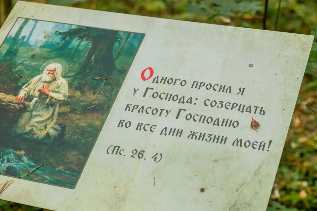 Александр Дрозденко поделился снимками из поселка Лисино-Корпус Александр Дрозденко поделился снимками из поселка Лисино-Корпус