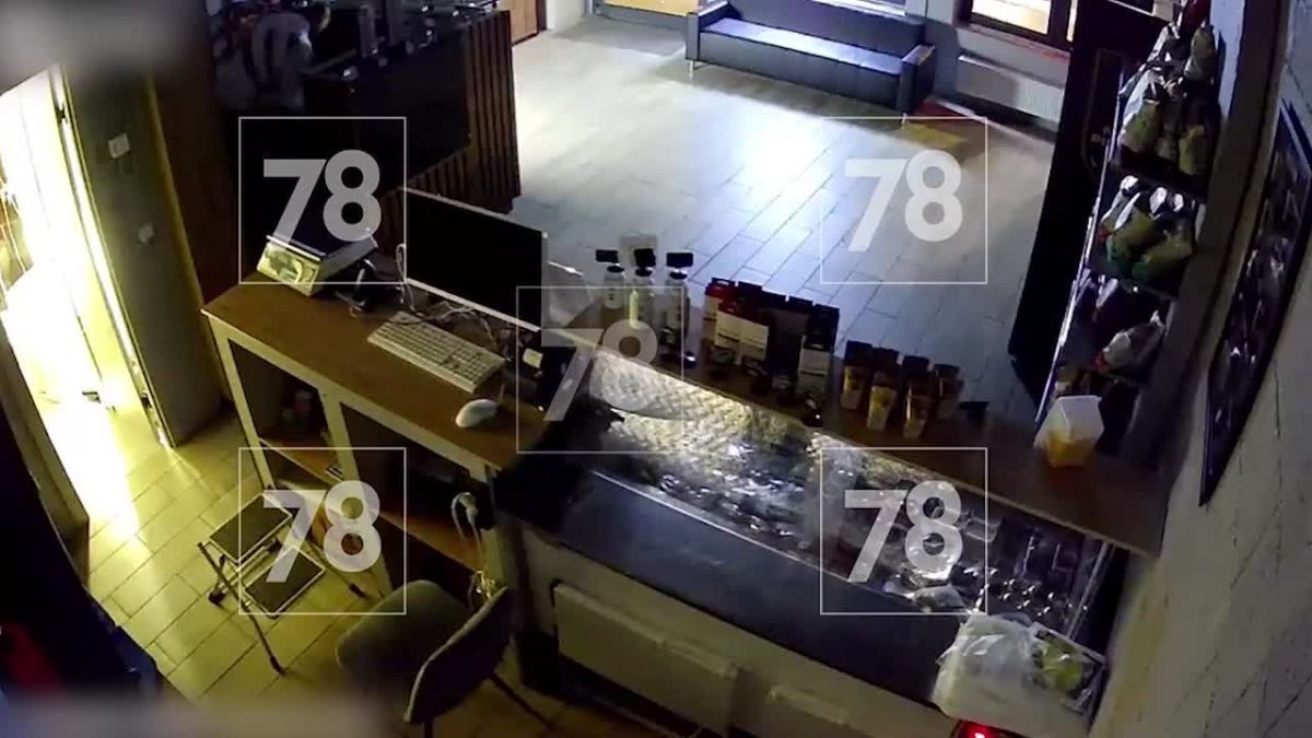Налётчик с битой может быть серийным вором из Мурино — мужчину опознали пострадавшие работодатели