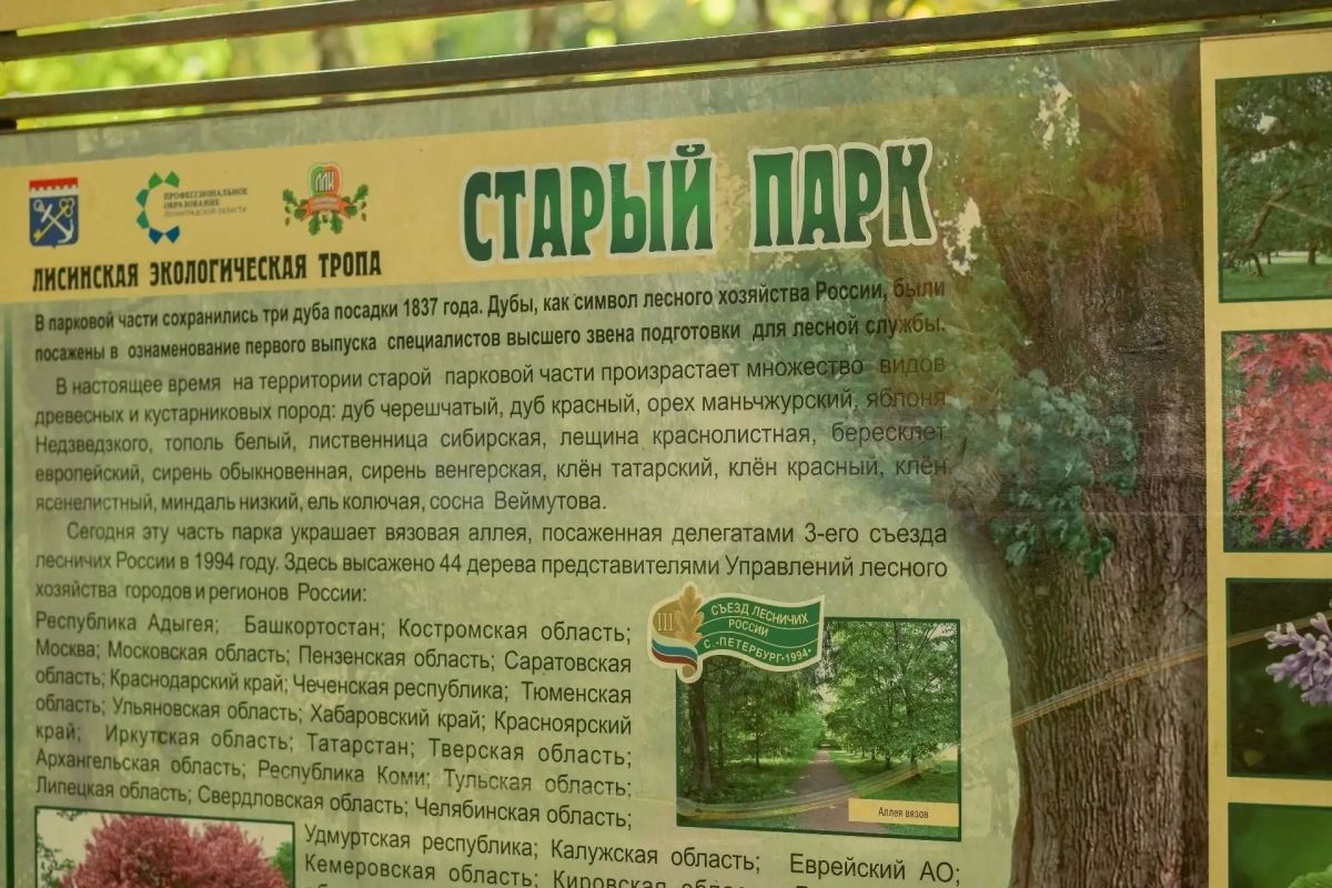 Александр Дрозденко поделился снимками из поселка Лисино-Корпус Александр Дрозденко поделился снимками из поселка Лисино-Корпус