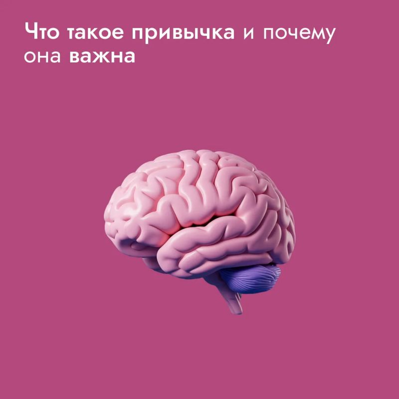 Зарядка – это хорошая, полезная привычка