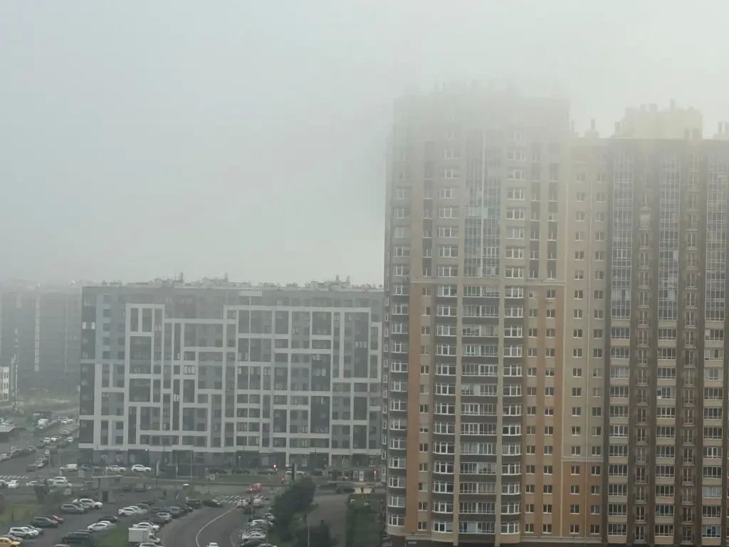Сегодня утром туман окутал Невский, Выборгский и Приморский районы Петербурга Сегодня утром туман окутал Невский, Выборгский и Приморский районы Петербурга