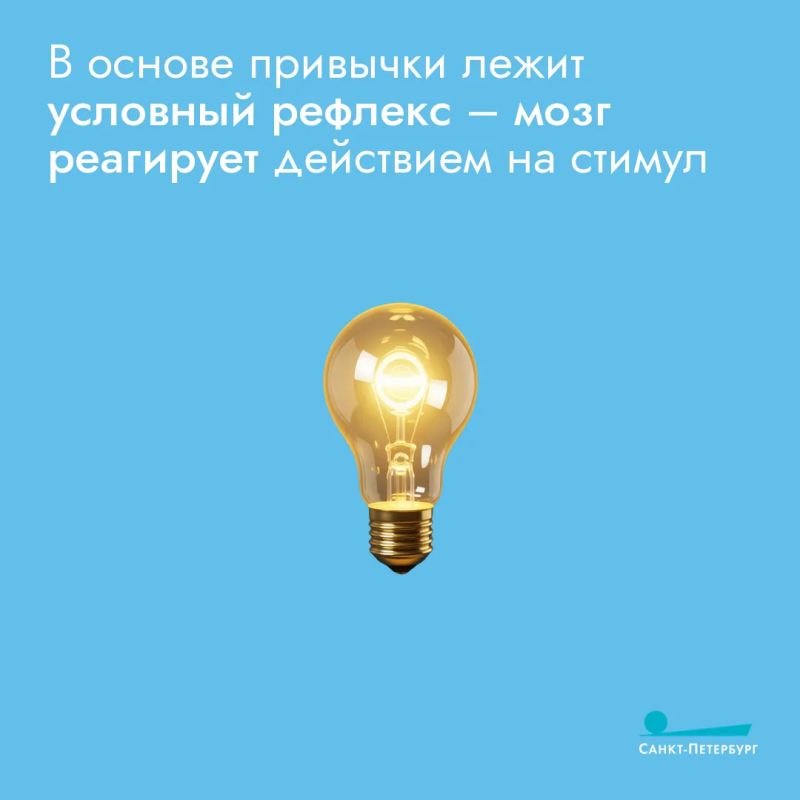 Зарядка – это хорошая, полезная привычка Зарядка – это хорошая, полезная привычка