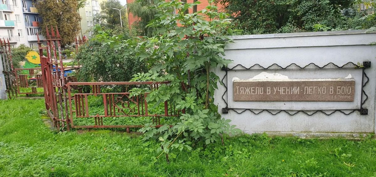 Сергей Колясников: Калининград! Неужели это реально так? Сергей Колясников: Калининград! Неужели это реально так?