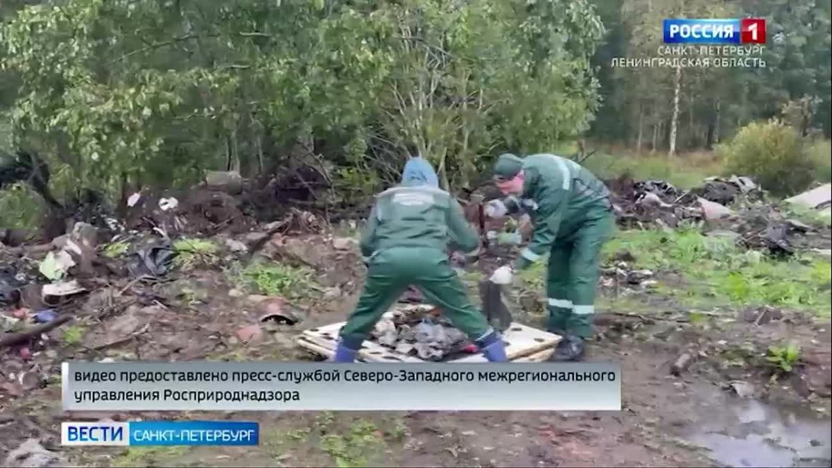 Незаконную свалку обнаружили в Кировском районе Ленинградской области