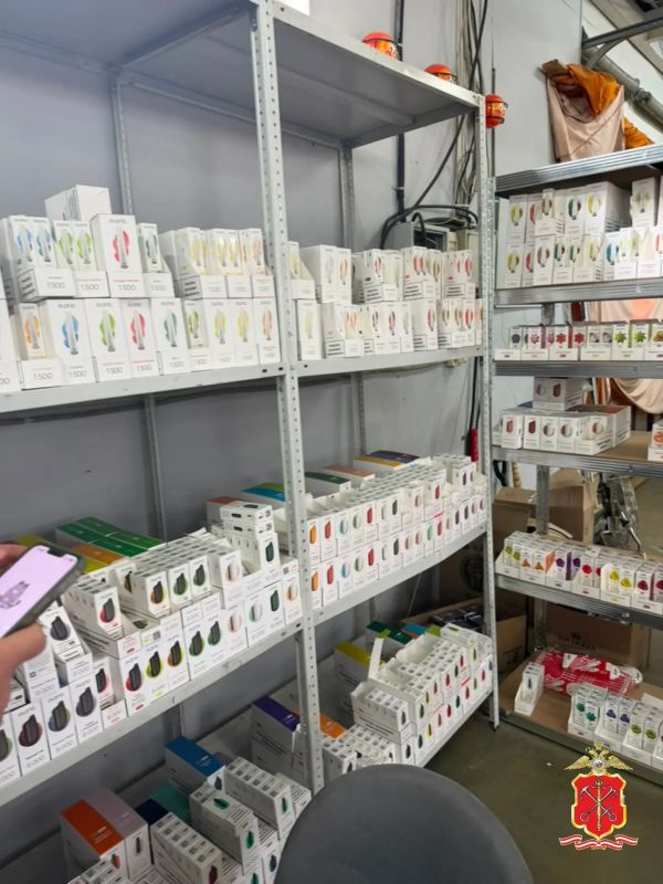 Полиция пресекла продажу жительницей Ленобласти более 80 000 пачек нелегальных сигарет и вейпов Полиция пресекла продажу жительницей Ленобласти более 80 000 пачек нелегальных сигарет и вейпов