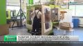 Особой экономической зоне «Санкт-Петербург» в 2026 году исполняется 20 лет