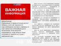 После вспышки кори школа в Невском районе отстранила 126 учеников от посещения занятий — треть из них никогда не прививалась от этой болезни, остальные не успели завершить курс