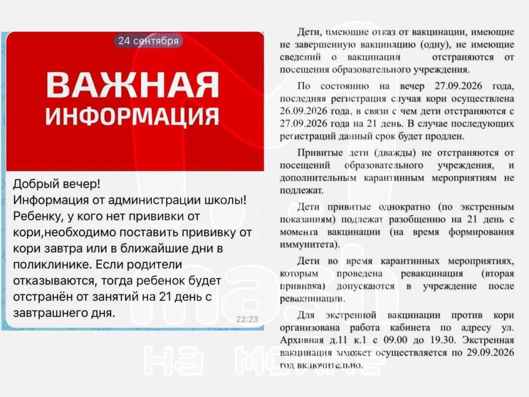 После вспышки кори школа в Невском районе отстранила 126 учеников от посещения занятий — треть из них никогда не прививалась от этой болезни, остальные не успели завершить курс