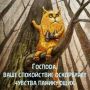Без паники