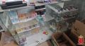 В Ленобласти женщина попалась на продаже 80 тысяч пачек нелегальных сигарет и вейпов