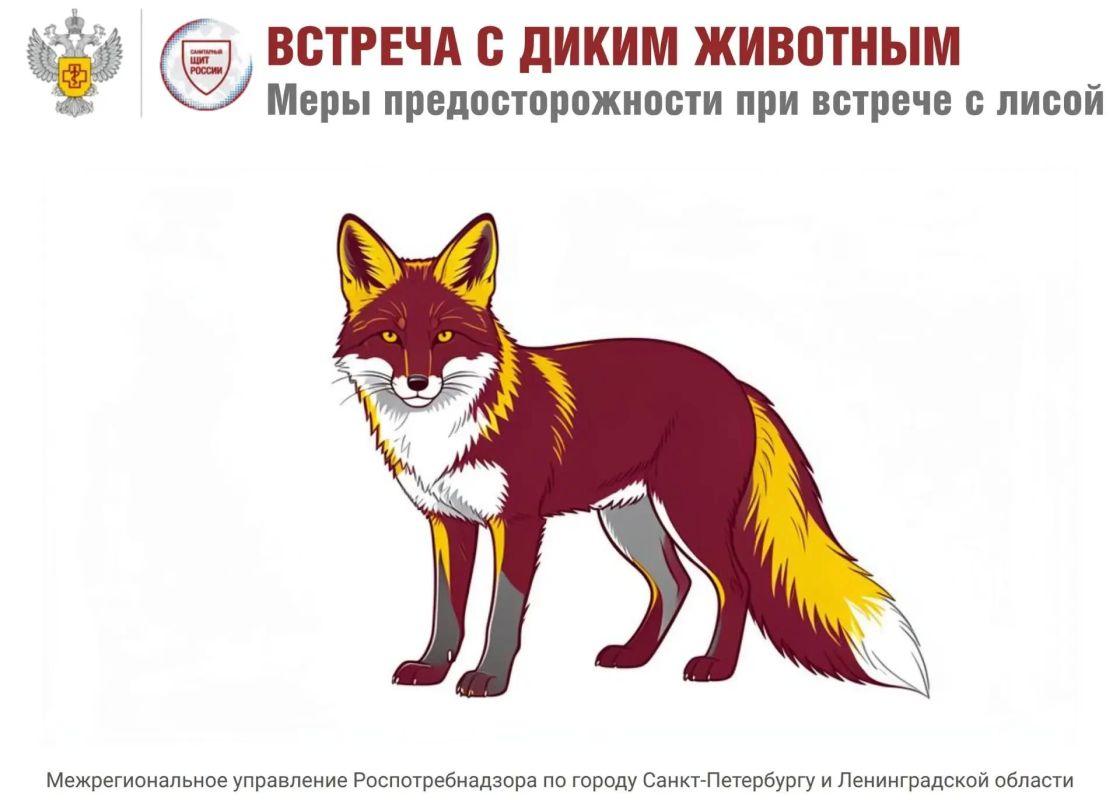 Встречи с дикими животными участились в последнее время в Ленинградской области, сообщил губернатор Александр Дрозденко