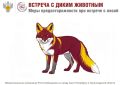 Встречи с дикими животными участились в последнее время в Ленинградской области, сообщил губернатор Александр Дрозденко