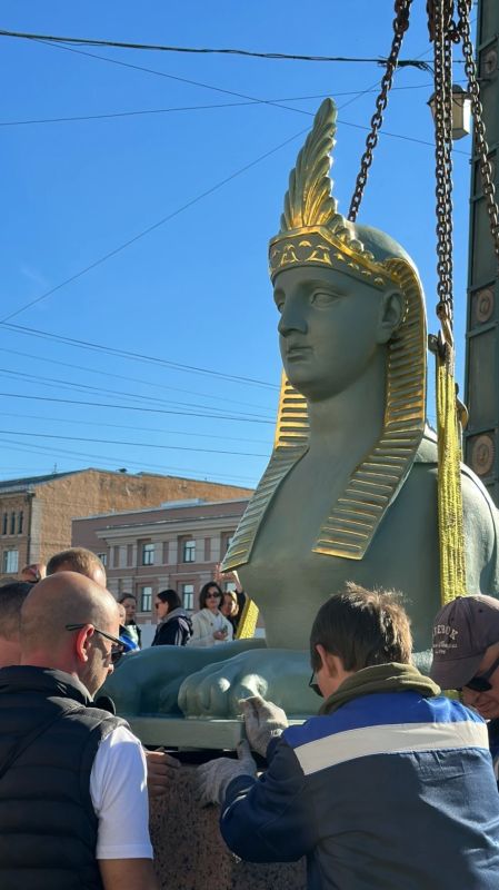 Сфинксы вернулись на Египетский мост после реставрации Сфинксы вернулись на Египетский мост после реставрации