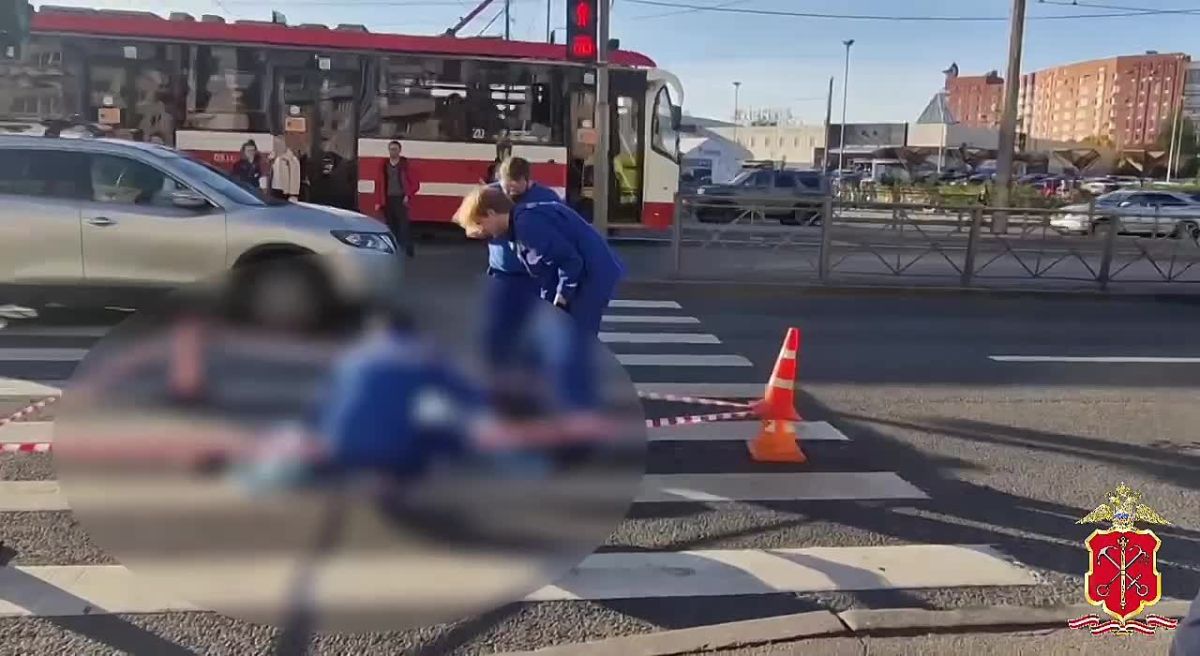 Полиция проводит проверку по факту смертельного ДТП в Выборгском районе Петербурга