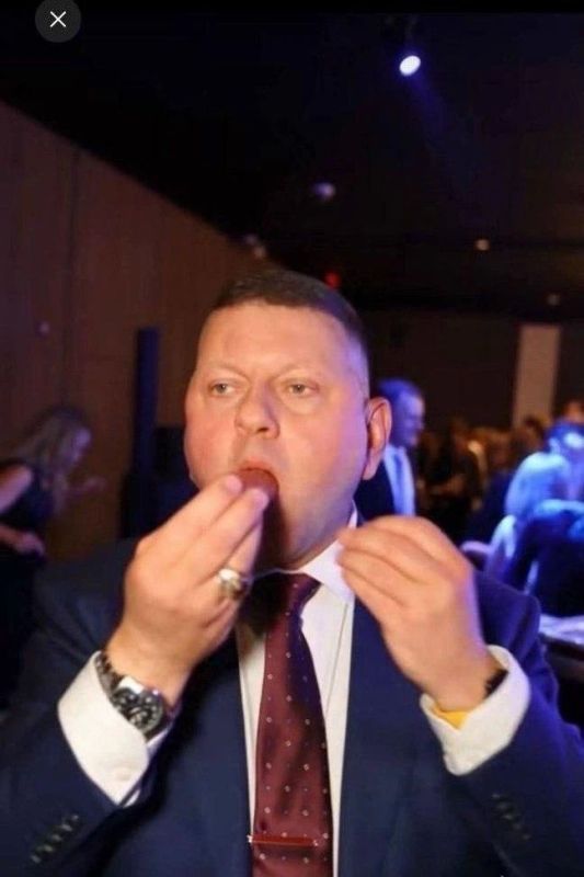 Сергей Колясников: Украинский женераль Залужный использует любую свободную минуту для тренировки к переговорам на саммите НАТО или ЕС
