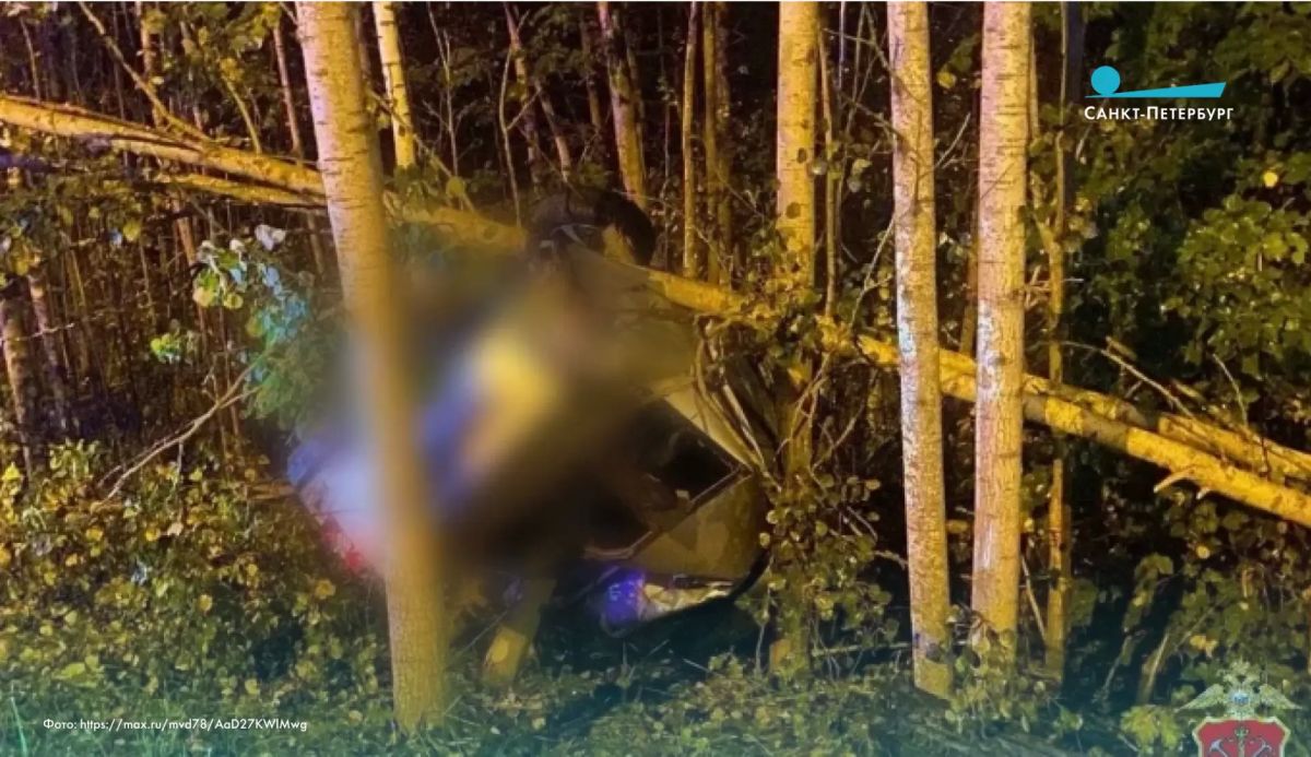В Ленобласти «Лада Приора» вылетела в кювет и врезала в дерево – водитель погиб